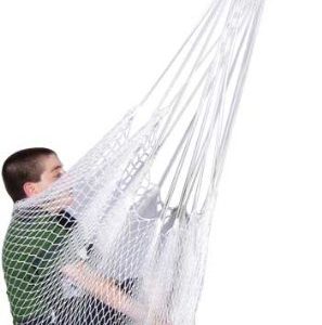 Playaway Net Swing