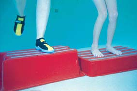 Replacement Non-skid Strips for Aquatic Step